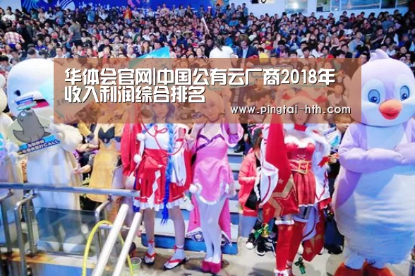 华体会官网|中国公有云厂商2018年收入利润综合排名