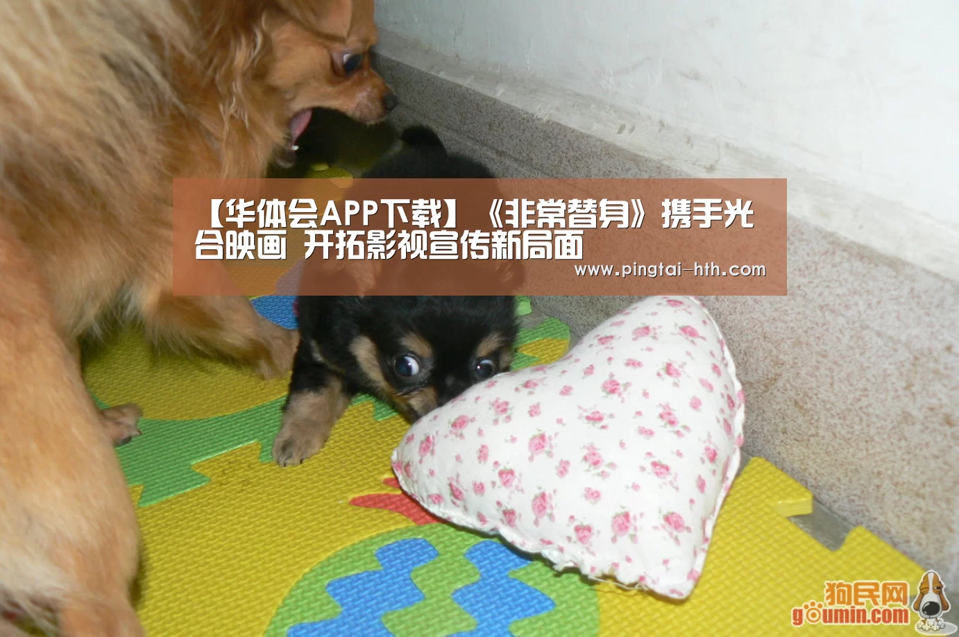 【华体会APP下载】《非常替身》携手光合映画 开拓影视宣传新局面(图2) 华体会下载