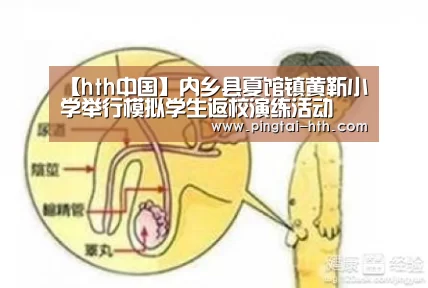 华体会下载