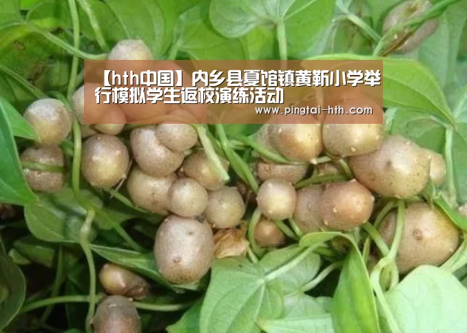 华体会下载