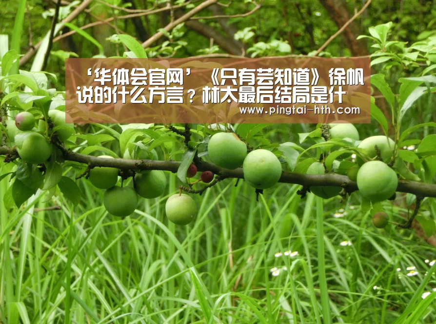 ‘华体会官网’《只有芸知道》徐帆说的什么方言？林太最后结局是什么？
