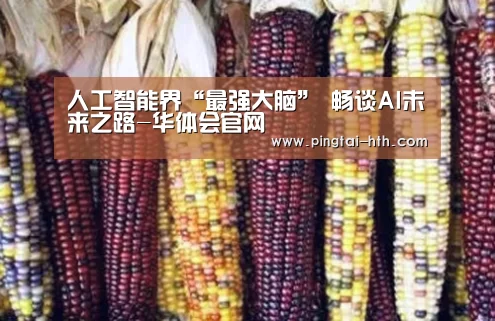 人工智能界“最强大脑” 畅谈AI未来之路-华体会官网(图2) 华体会APP下载