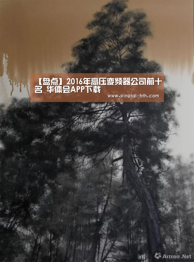 【盘点】2016年高压变频器公司前十名_华体会APP下载(图2) 华体会下载