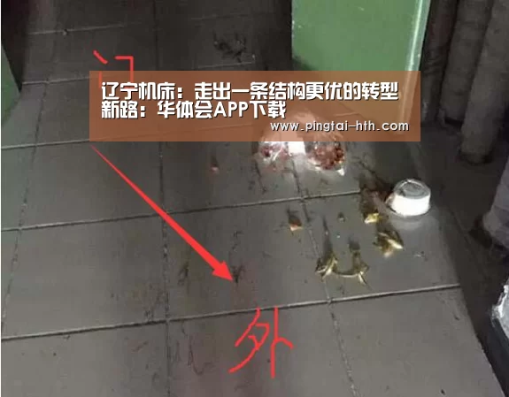 辽宁机床：走出一条结构更优的转型新路：华体会APP下载