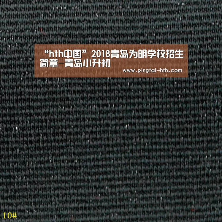 “hth中国”2018青岛为明学校招生简章-青岛小升初
